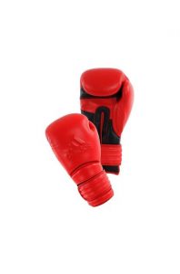 Power 300 Boxing Glove