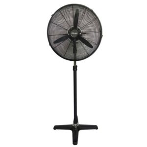 Pedestal Fan