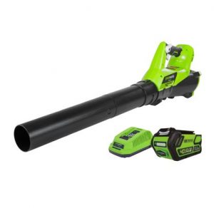 GreenWorks Blower