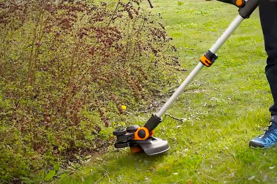 Best Line Trimmer