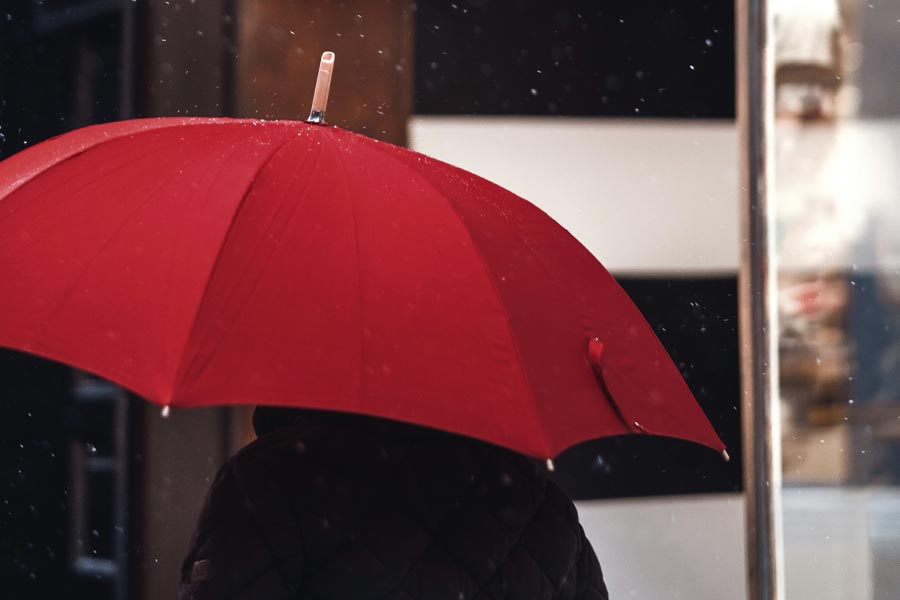 Best Umbrellas