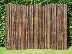 Bamboo Privacy Screen