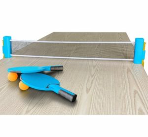 Portable Table Tennis