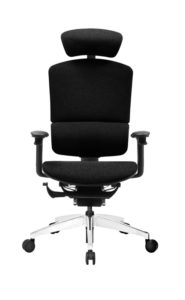 Ergonomic Chair