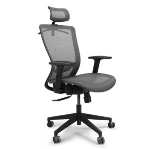 Ergonomic Office Chair
