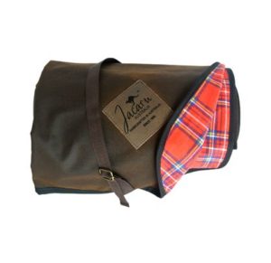 Giant Picnic Blanket