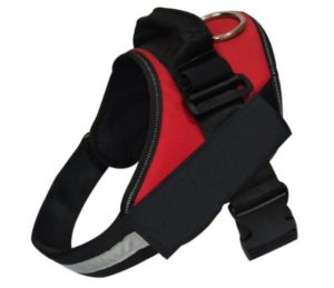 Adjustable Harness