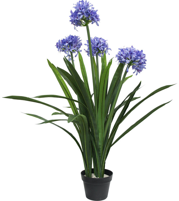 Top 5 Best Artificial Plants in NZ 2024