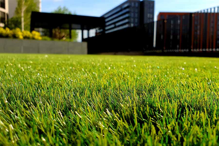 Best Artificial Grass