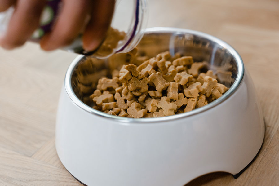 Best Dog Biscuits