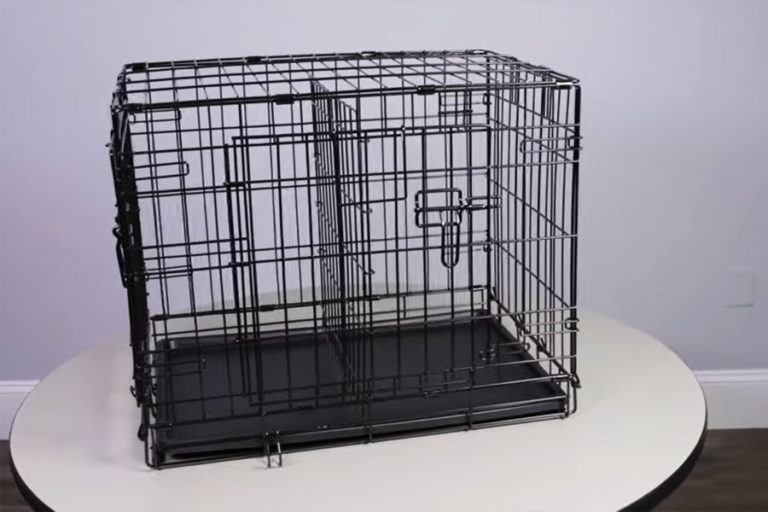 Top 5 Best Dog Crates in NZ 2024