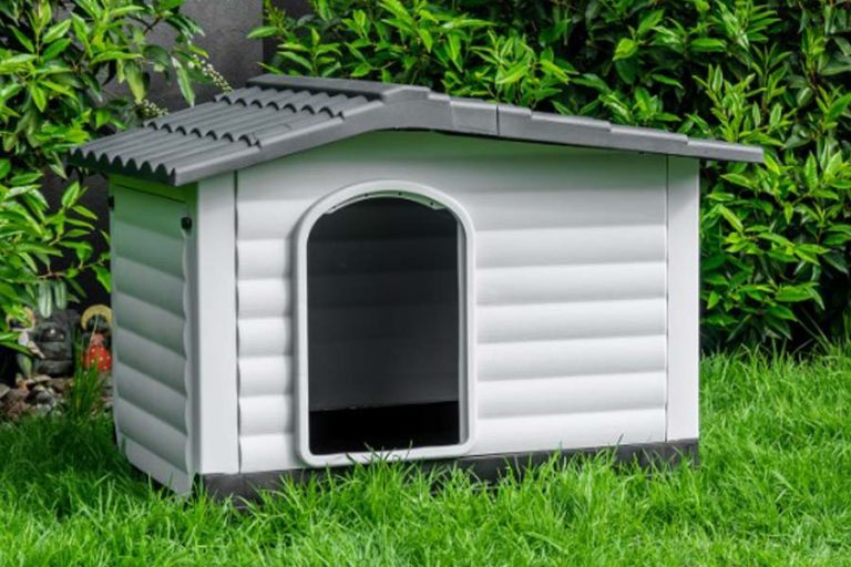 Top 5 Best Dog Kennels in NZ 2024