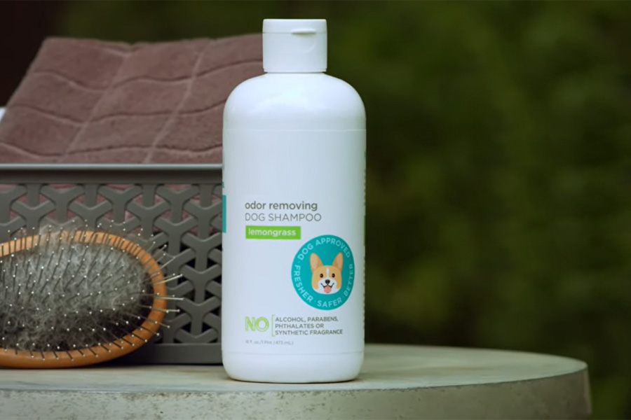 Best Dog Shampoos