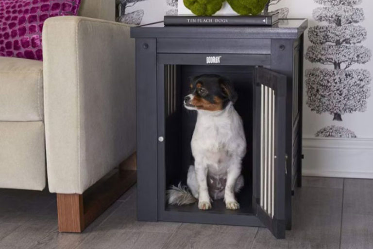 Top 5 Best Puppy Crates in NZ