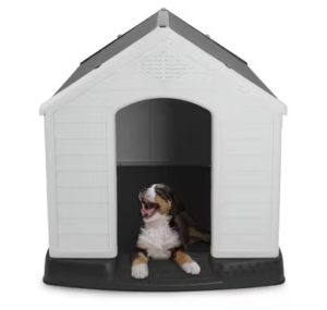 Dog Kennel