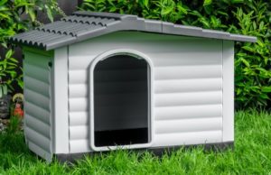 Plastic Dog Kennel