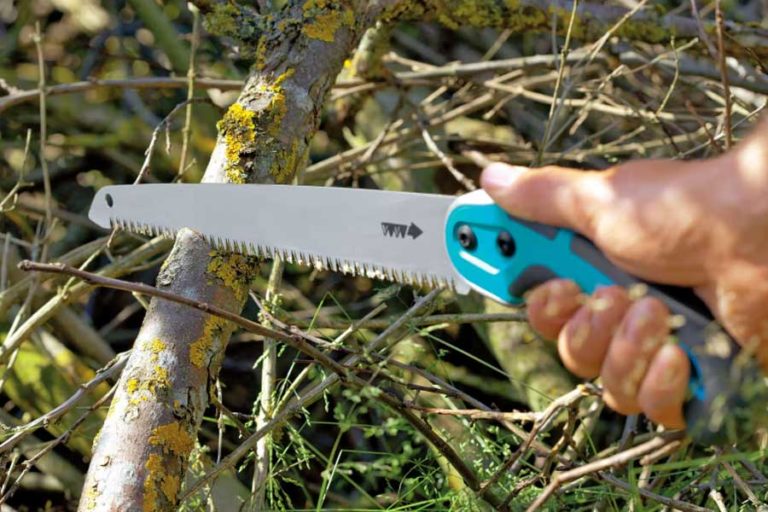 Top 5 Best Pruning Saw in NZ