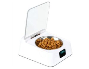 Smart Pet Feeder