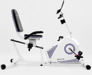 Egojin Recumbent Bike