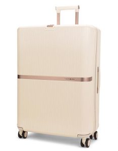 Checked Suitcase