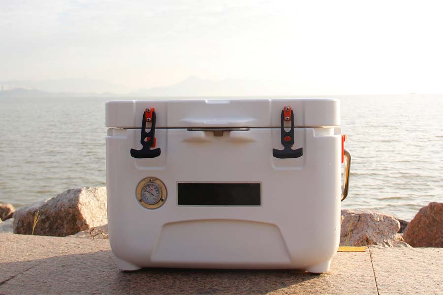 Top 7 Best Chilly Bins NZ 2022 Keep Food Fresh