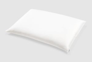 Silk Filled Pillow