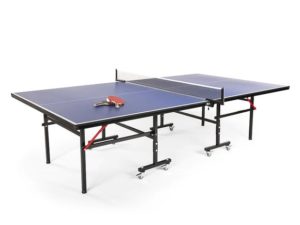 Double Fish Table Tennis