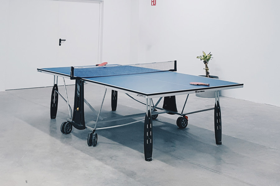 Best Table Tennis Table