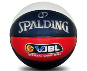 VJBL TF-Elite Basketball