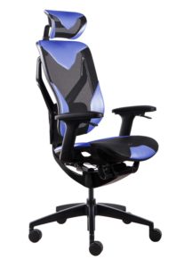 GT VIDA Ergonomic Chair