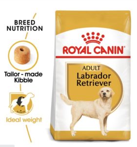 Adult Dry Dog Food