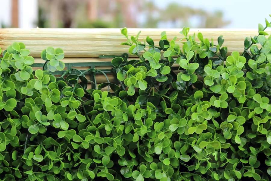 Top 5 Best Artificial Hedge in NZ 2022