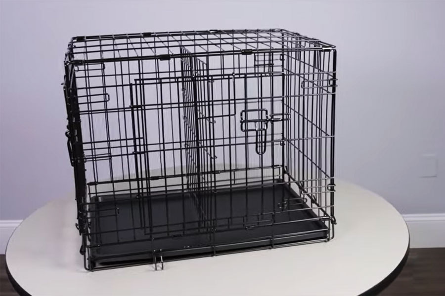 Top 5 Best Dog Crates in NZ 2022