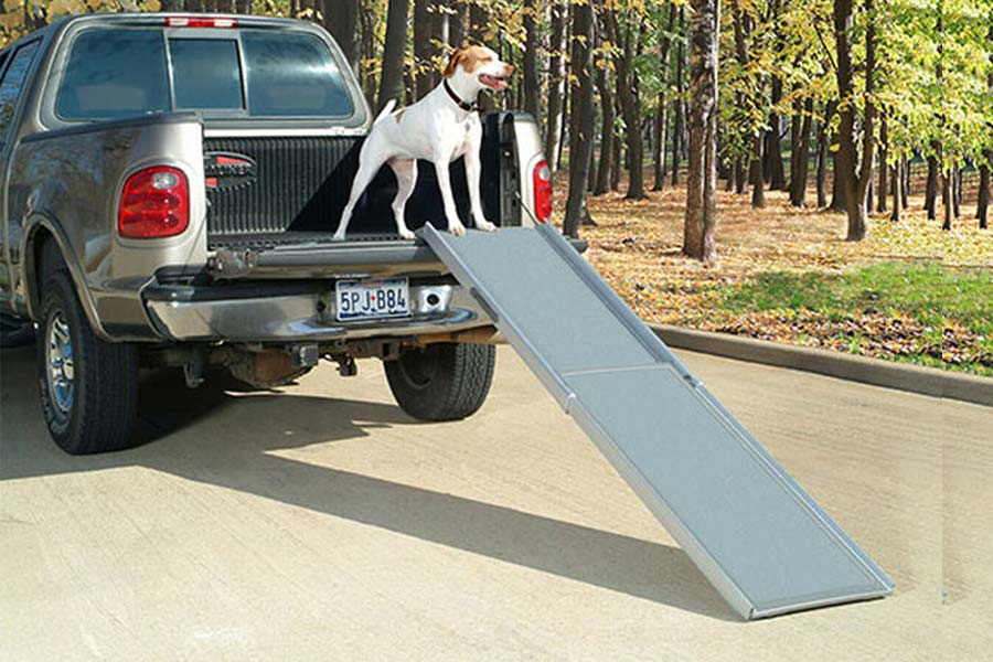 Top 5 Best Dog Ramps For your Car in NZ